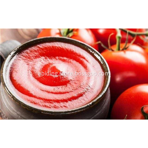 100g Conventional Sachet Tomato Paste